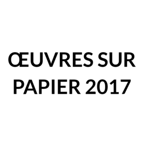 oeuvres sur papier 2017